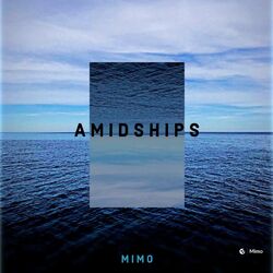 Cover of Amidships
