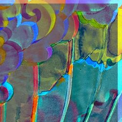 Cover of Seasons