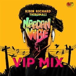 Cover of Naadan Vibe (Vip Mix)