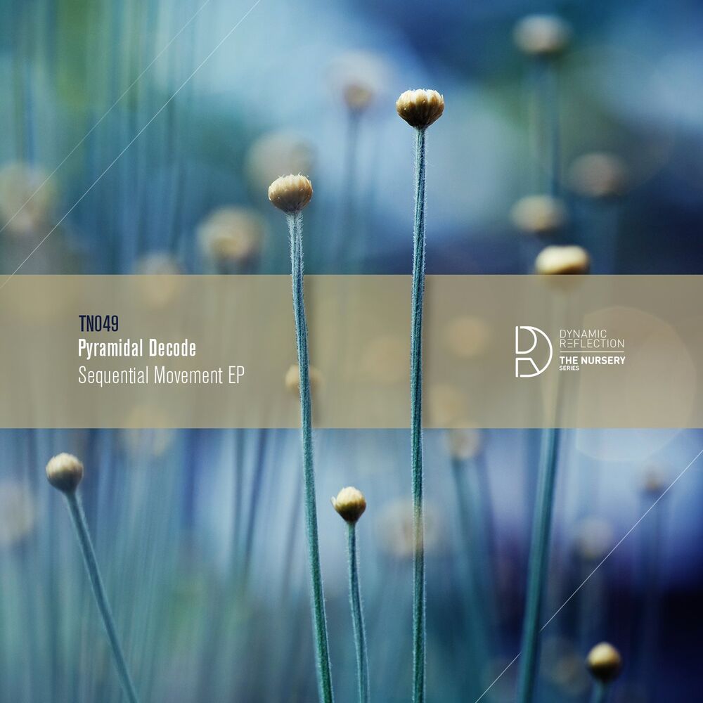 Picture of Sequential Movement EP