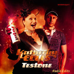 Cover of Perfect (The Radio Edits)