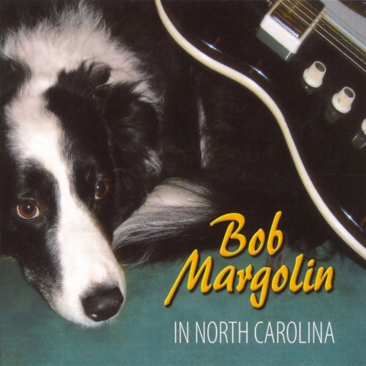 Album cover of In North Carolina