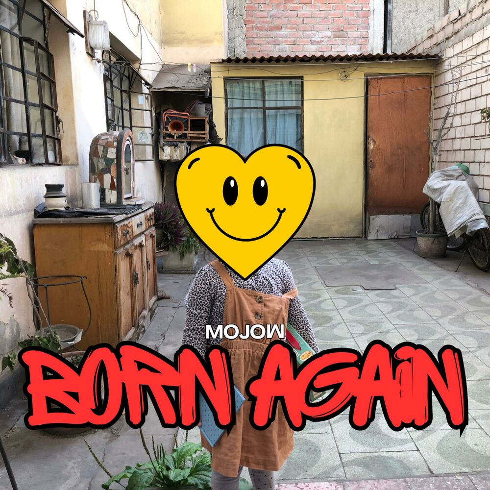 Picture of Born Again