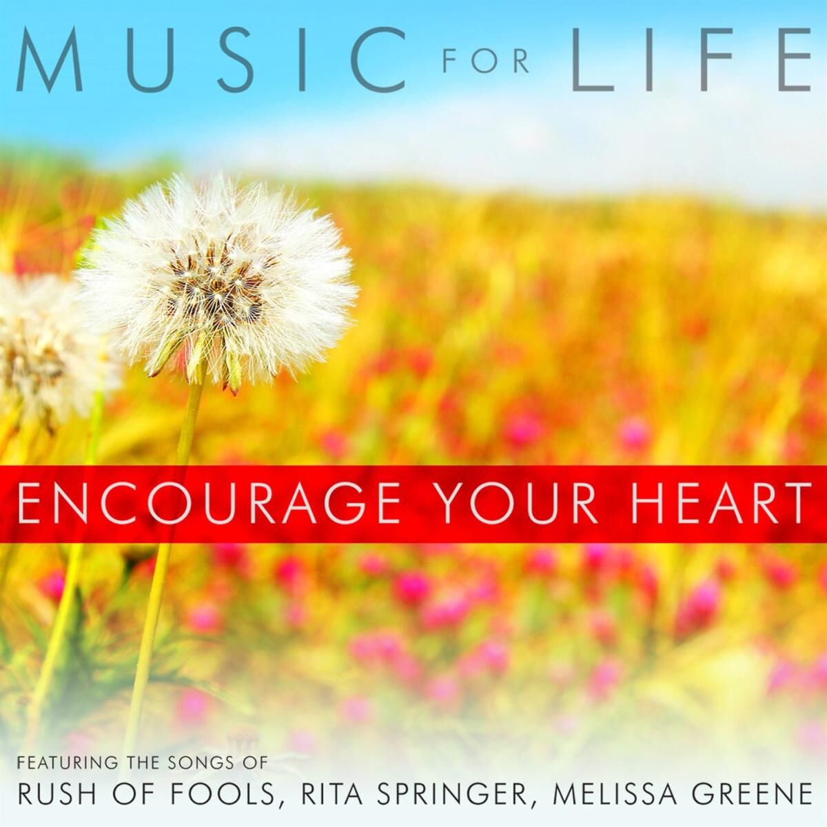 Album cover of Encourage Your Heart
