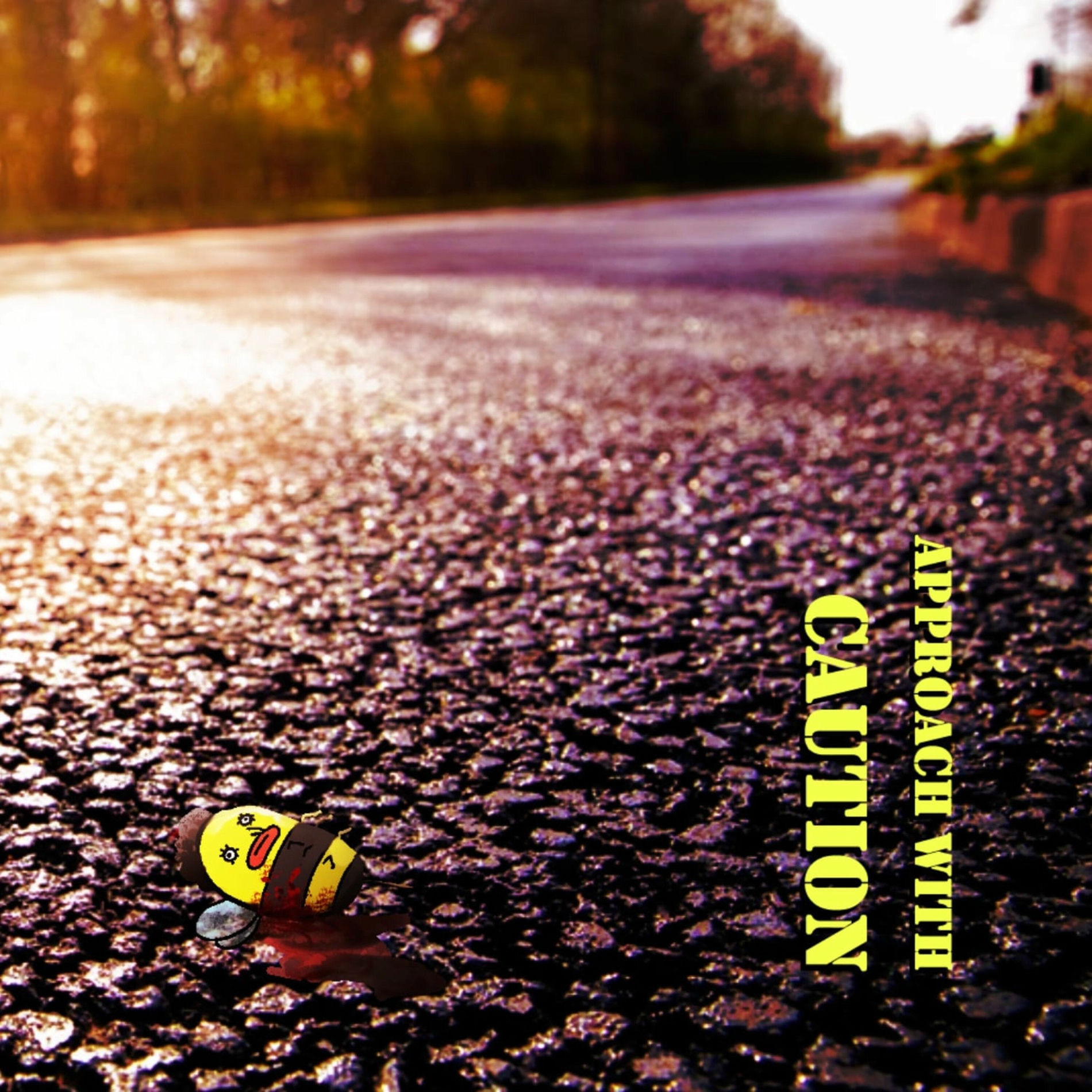 Album cover of Approach with Caution
