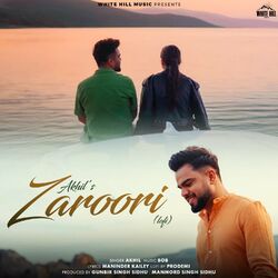 Cover of Zaroori (Lofi)