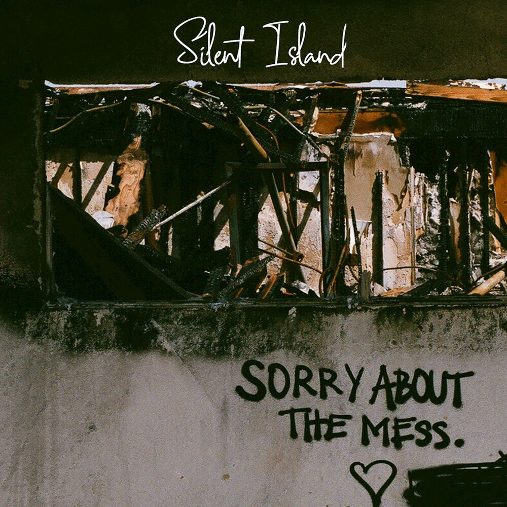 Picture of Sorry About The Mess