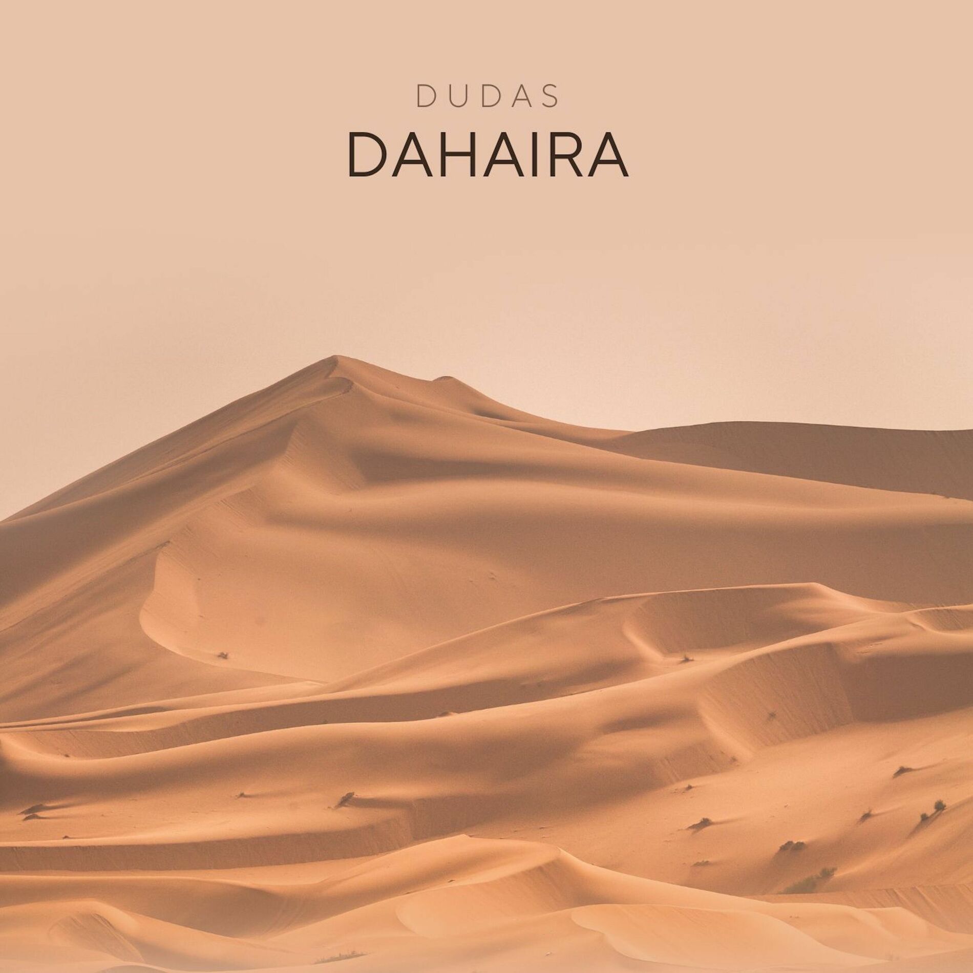 Album cover of Dudas
