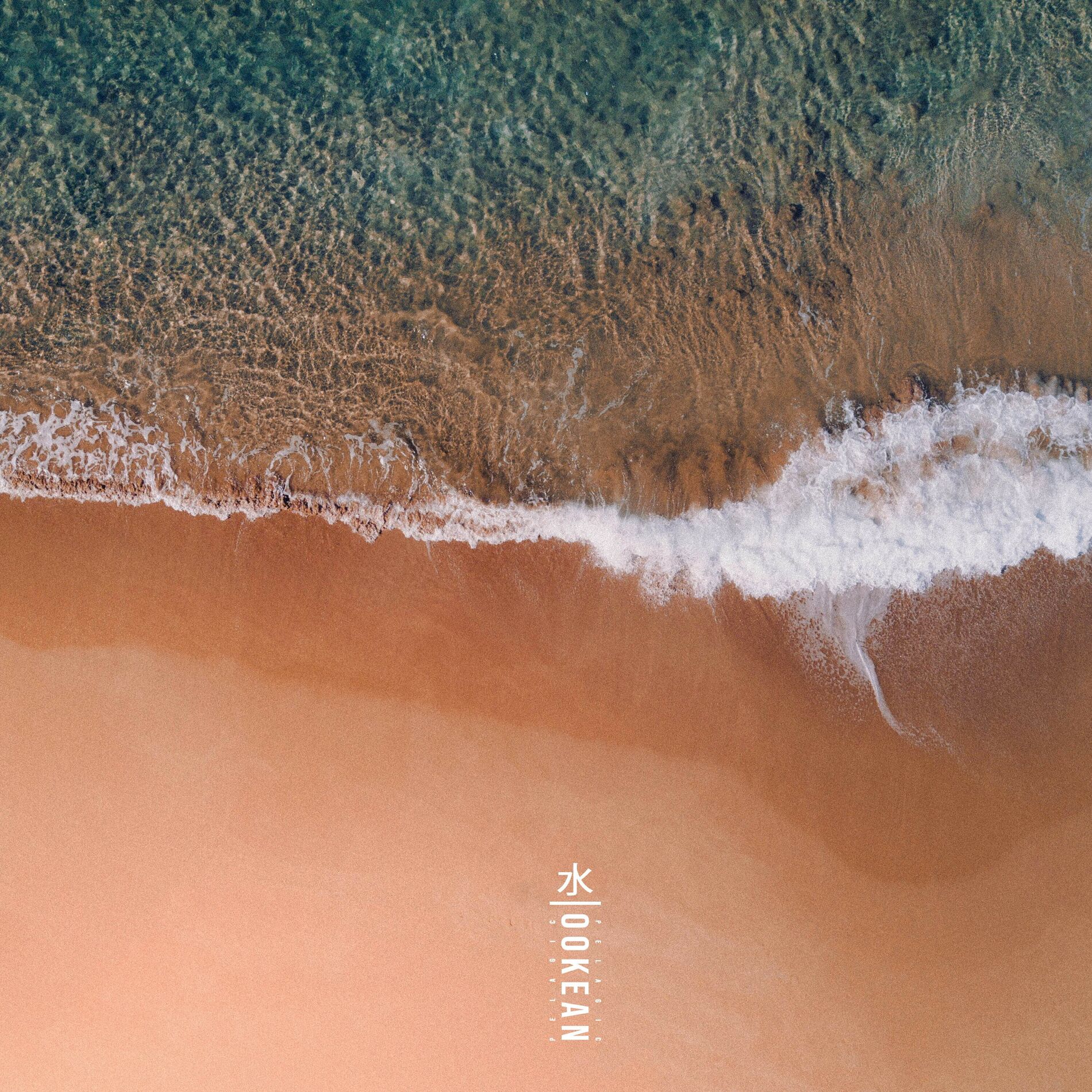 Album cover of Pelagic