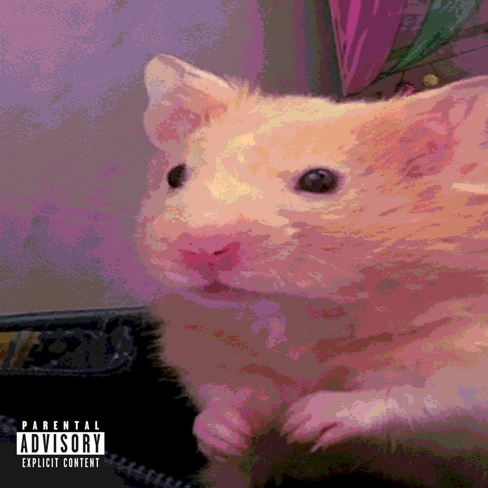 Picture of Vou Te Enfeitiçar