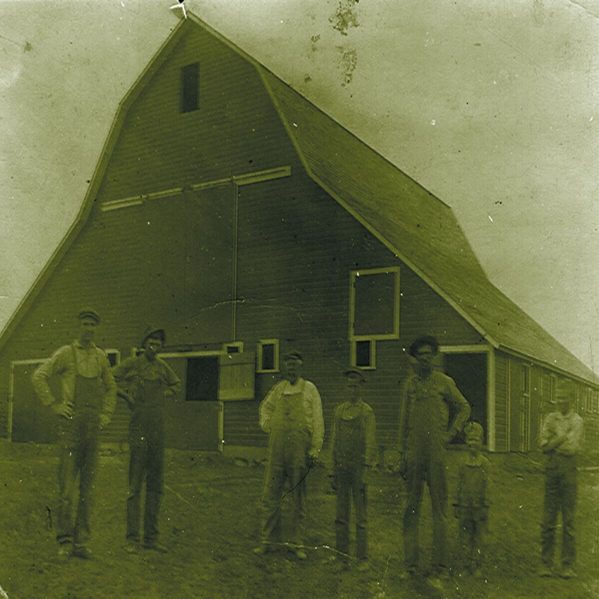 Album cover of Rooster