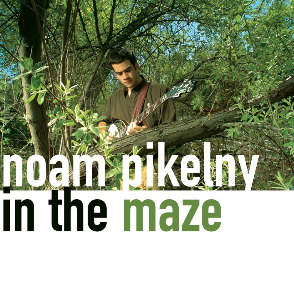 Picture of In the Maze