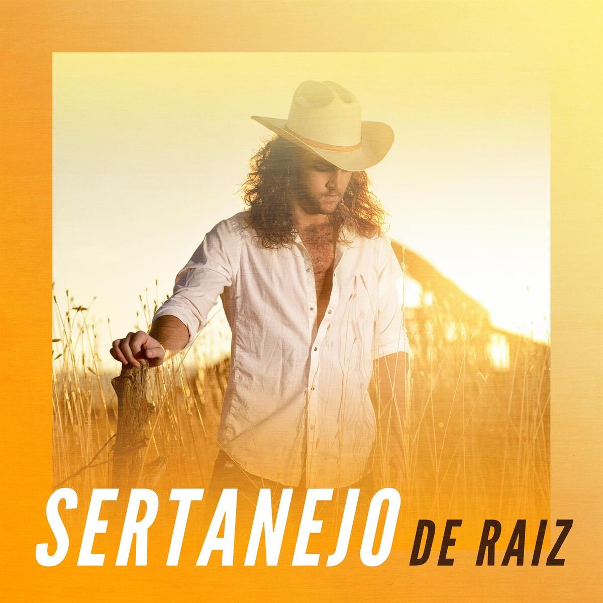 Album cover of Derradeiro adeus