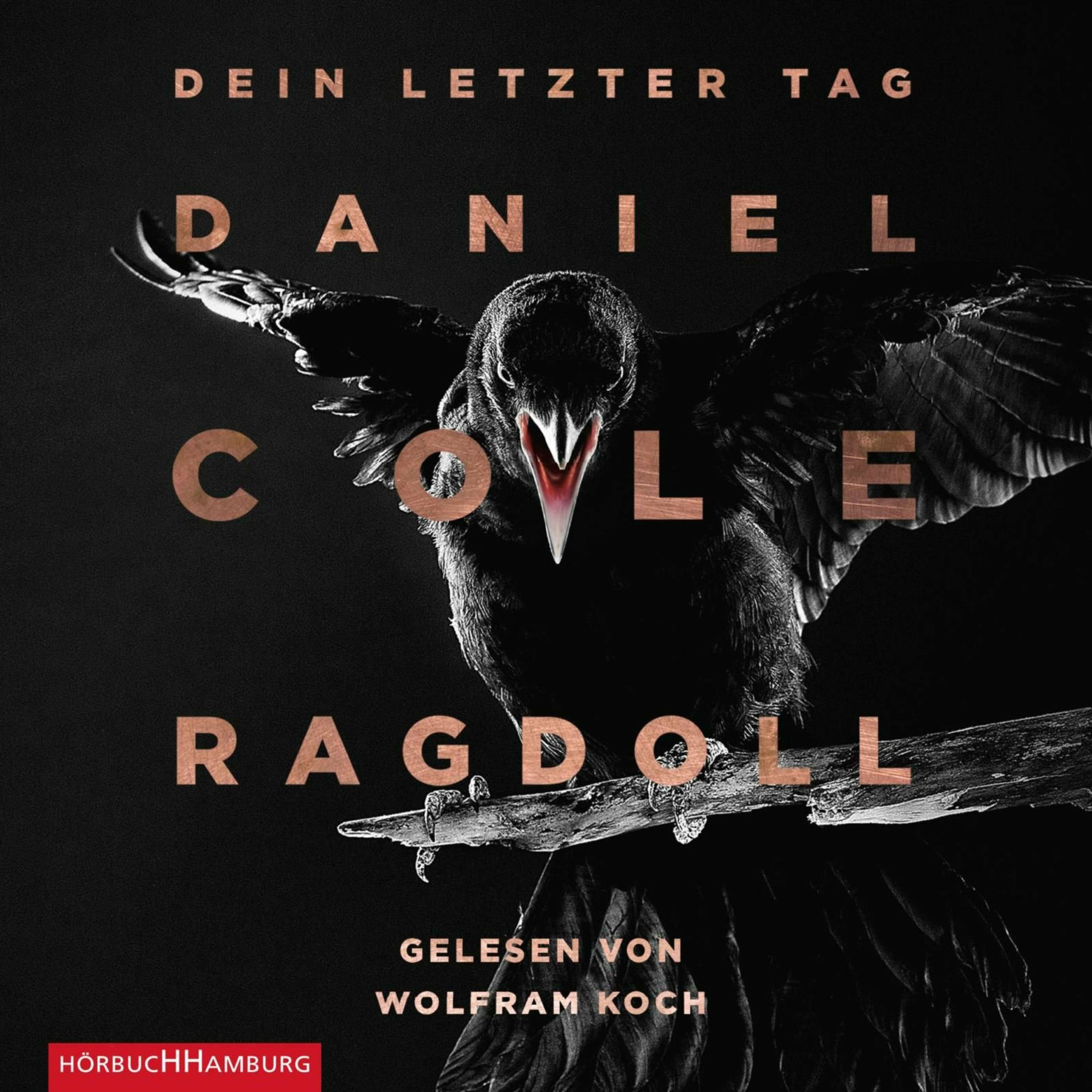 Album cover of Ragdoll - Dein letzter Tag (Ein New-Scotland-Yard-Thriller 1)