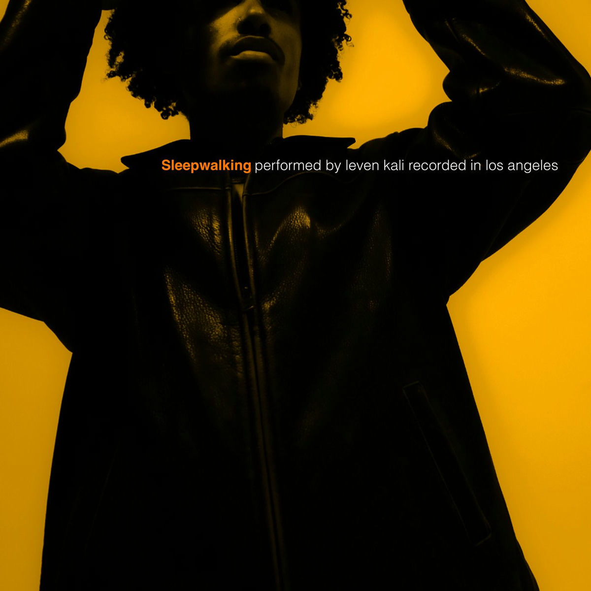 Album cover of Sleepwalking