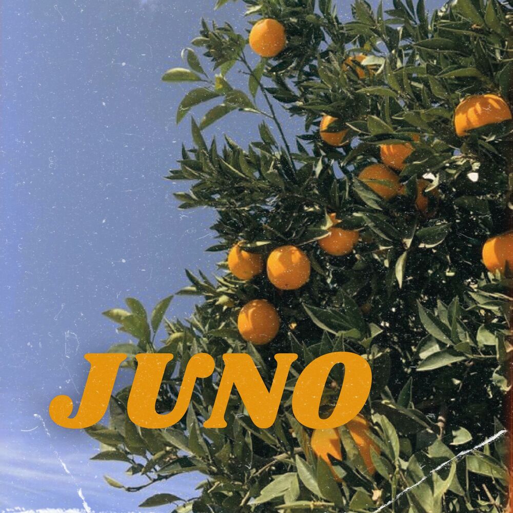 Picture of JUNO