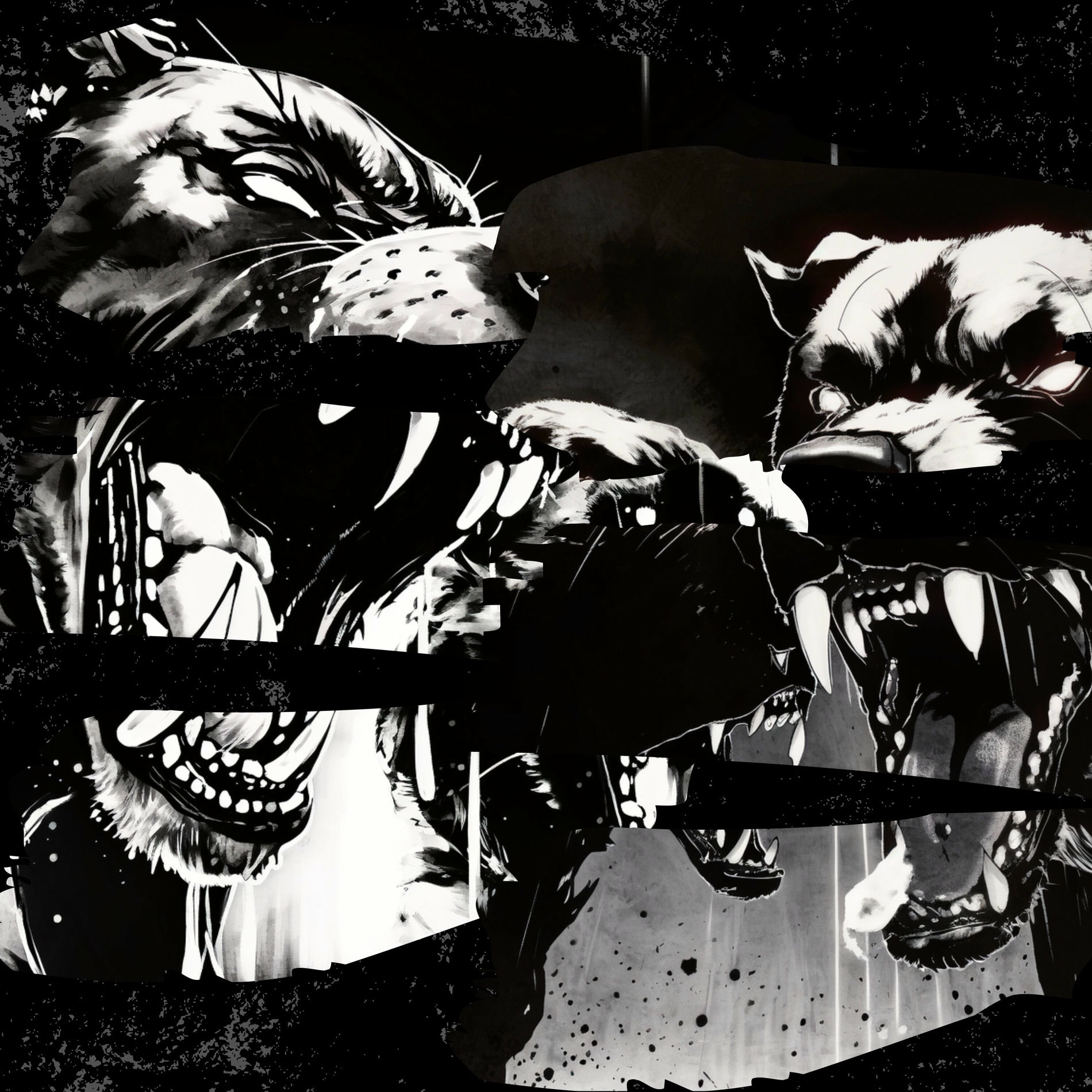 Album cover of Perros de Pelea