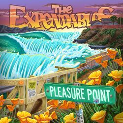 Cover of Pleasure Point