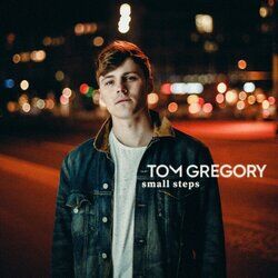 Cover of Small Steps