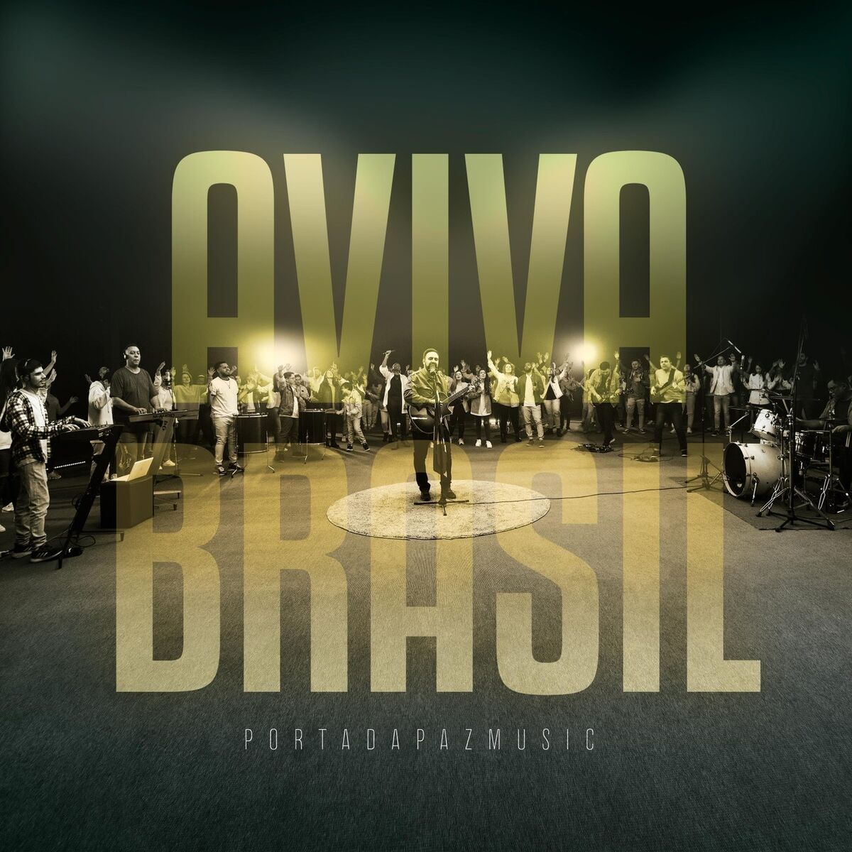 Album cover of Aviva Brasil