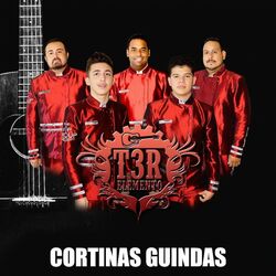 Cover of Cortinas Guindas