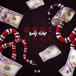 Cover of Orgi