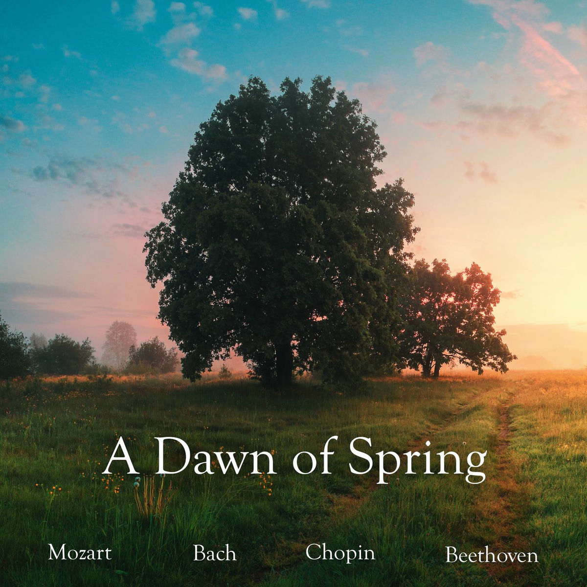 Album cover of A Dawn of Spring