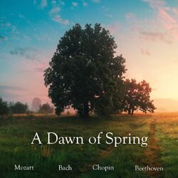 Cover of A Dawn of Spring