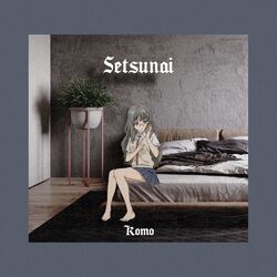 Cover of Setsunai
