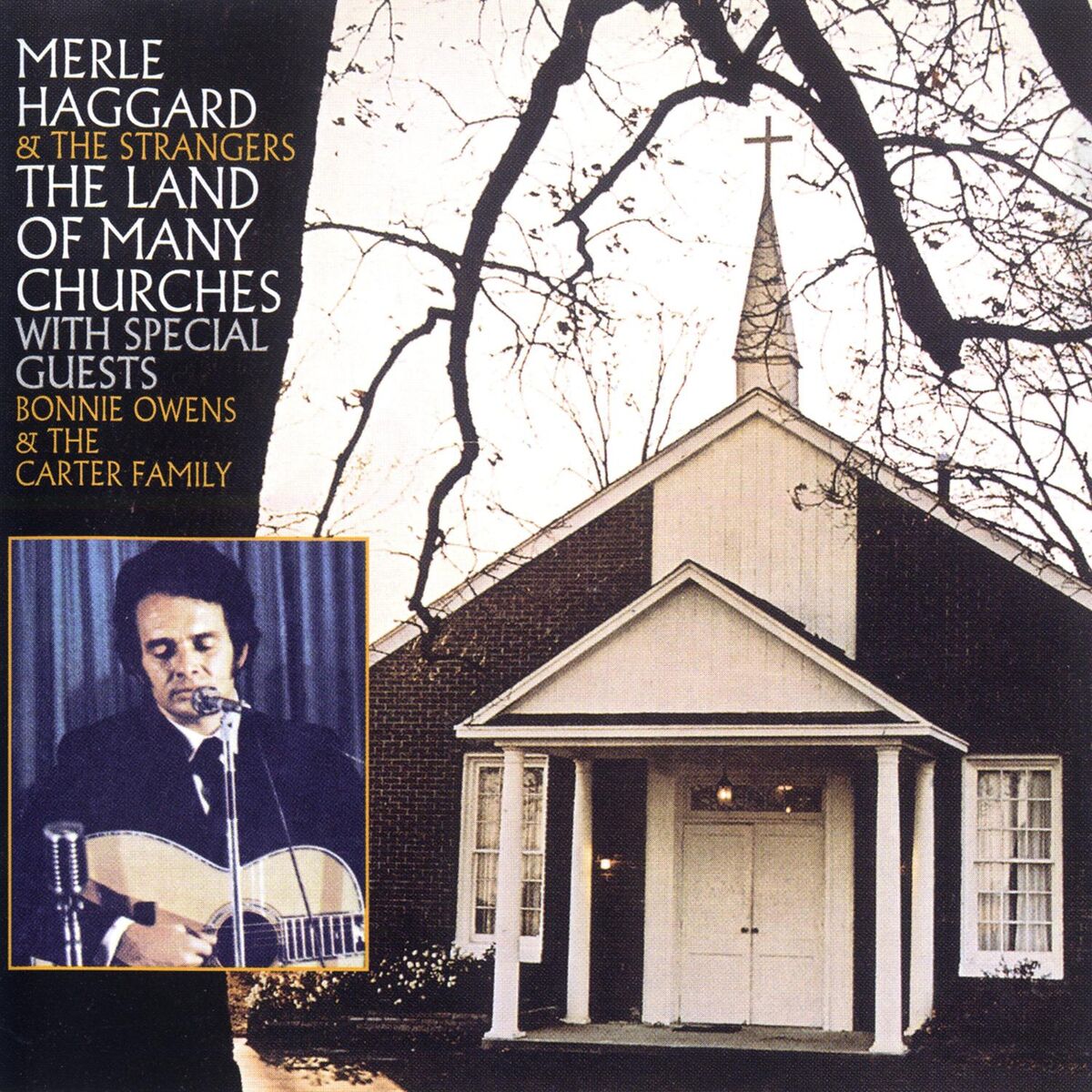 Album cover of I Saw The Light