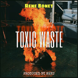 Cover of Toxic Waste
