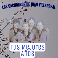 Cover of Tus Mejores Años