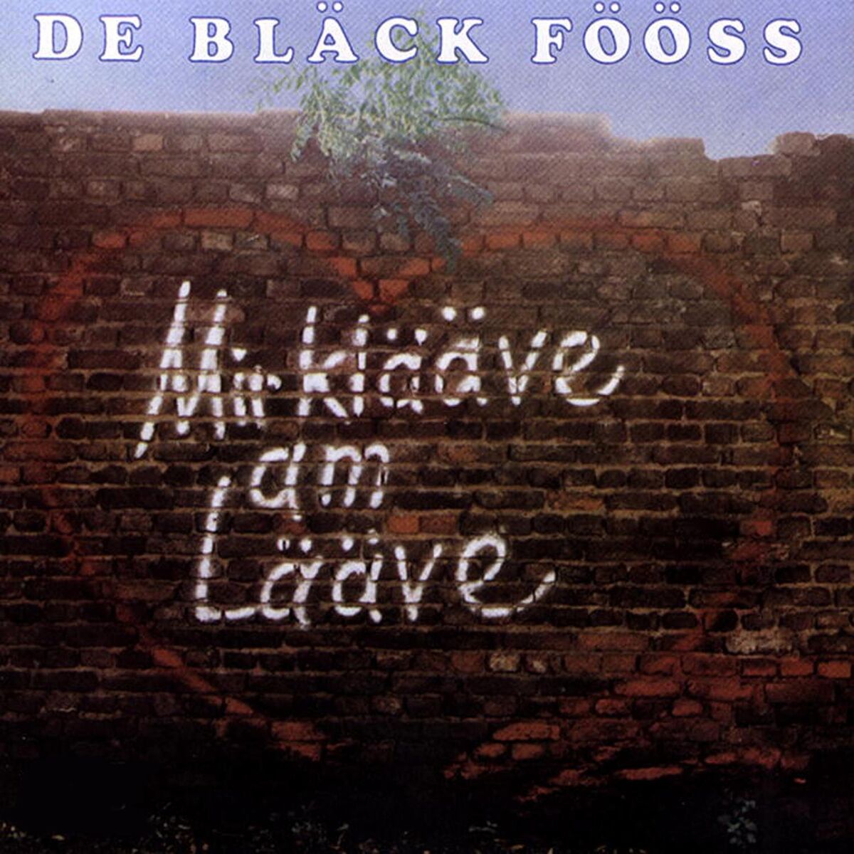 Album cover of Mir Klääve Am Lääve