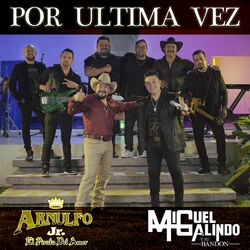 Cover of Por última vez