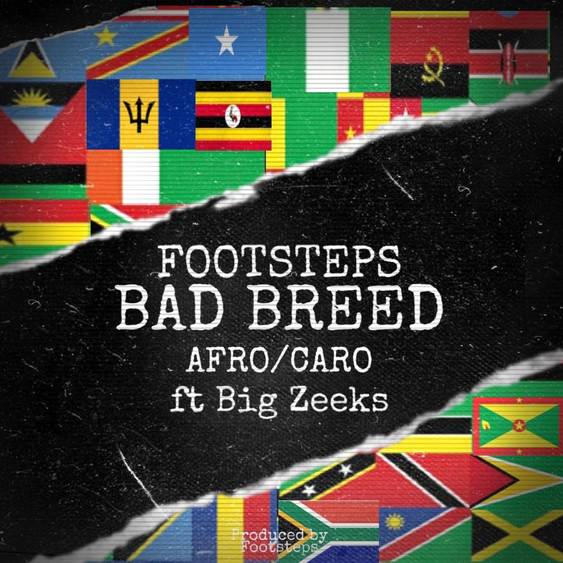 Album cover of Bad Breed (Afro/Caro) [feat. Big Zeeks]