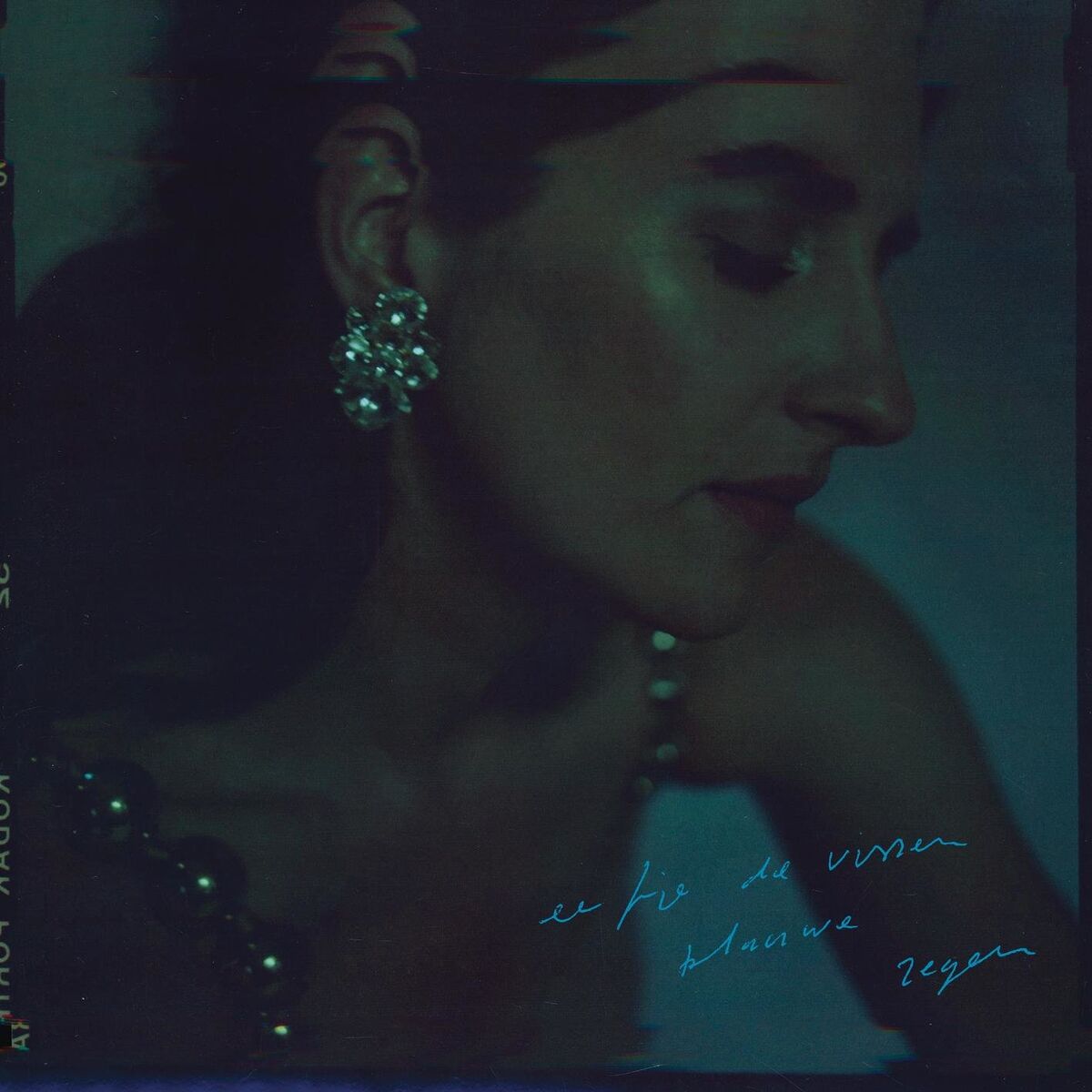 Album cover of Blauwe Regen