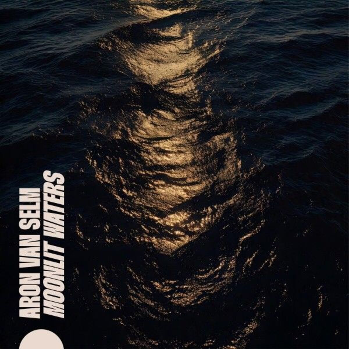 Album cover of Moonlit Waters