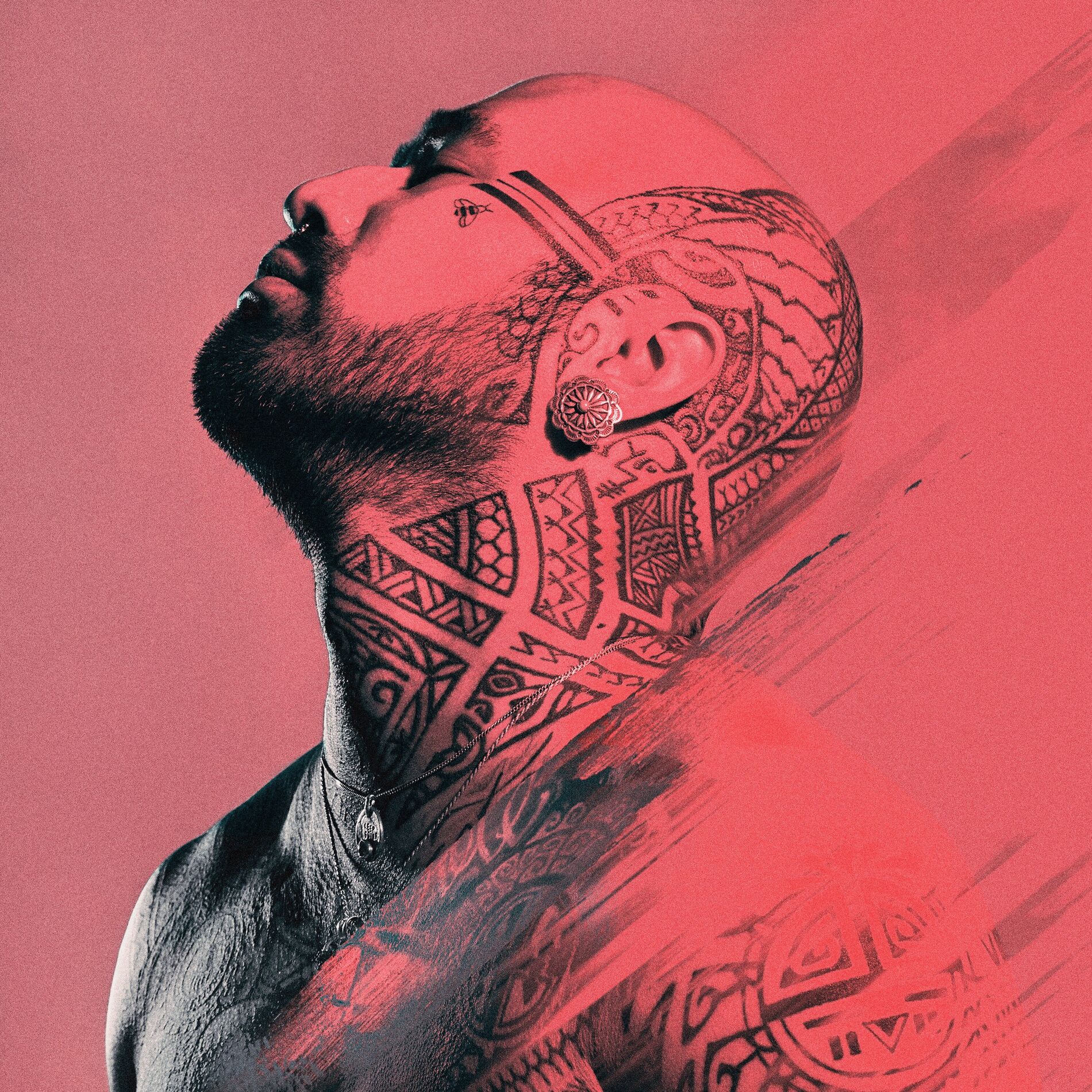 Album cover of Bend Like The Willow