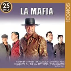 Cover of Íconos 25 Éxitos