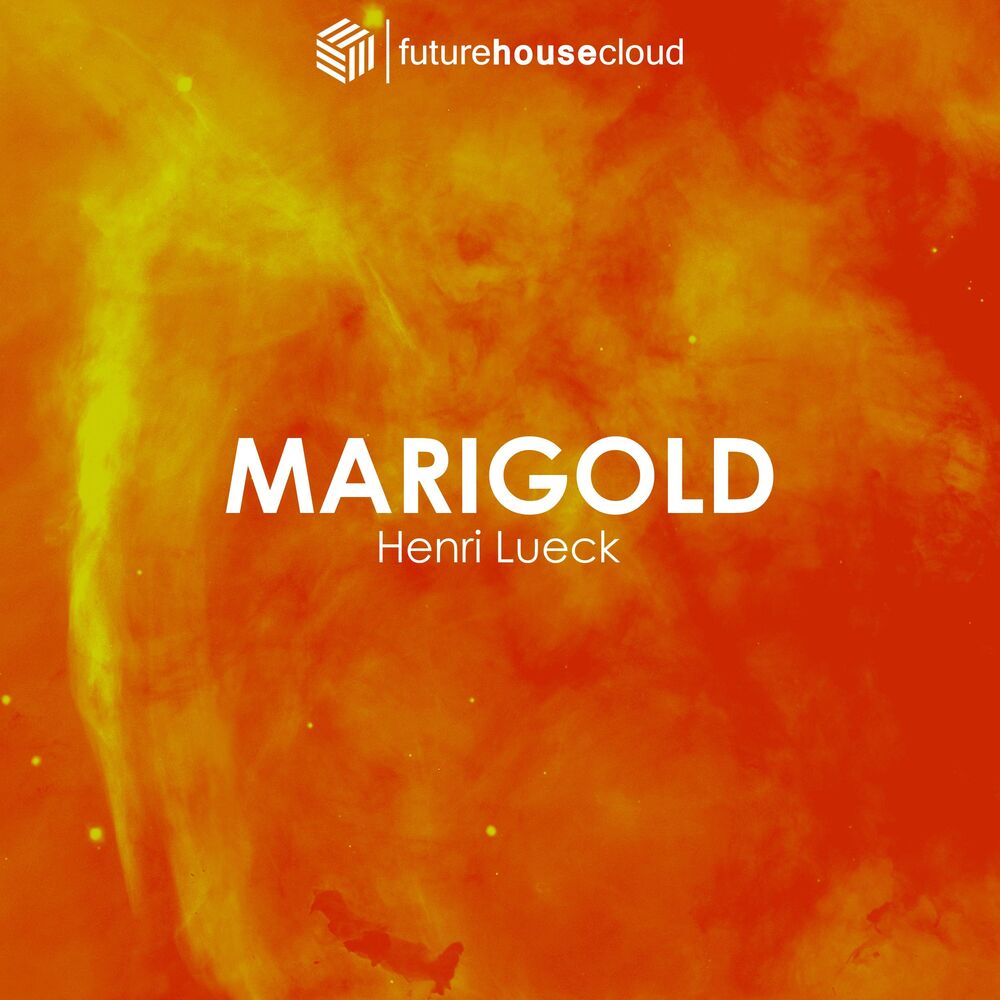Picture of Marigold