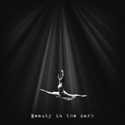 Cover of Beauty in the dark