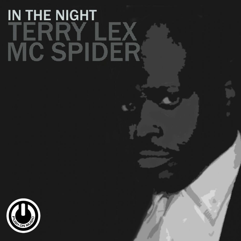 Picture of In the Night