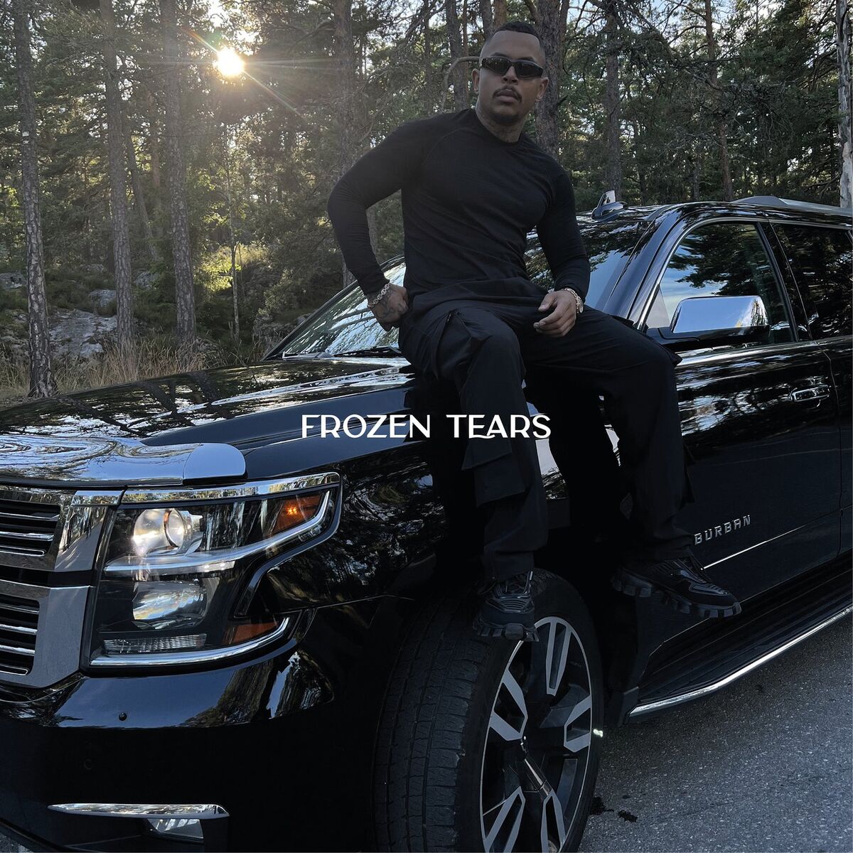 Album cover of Frozen Tears