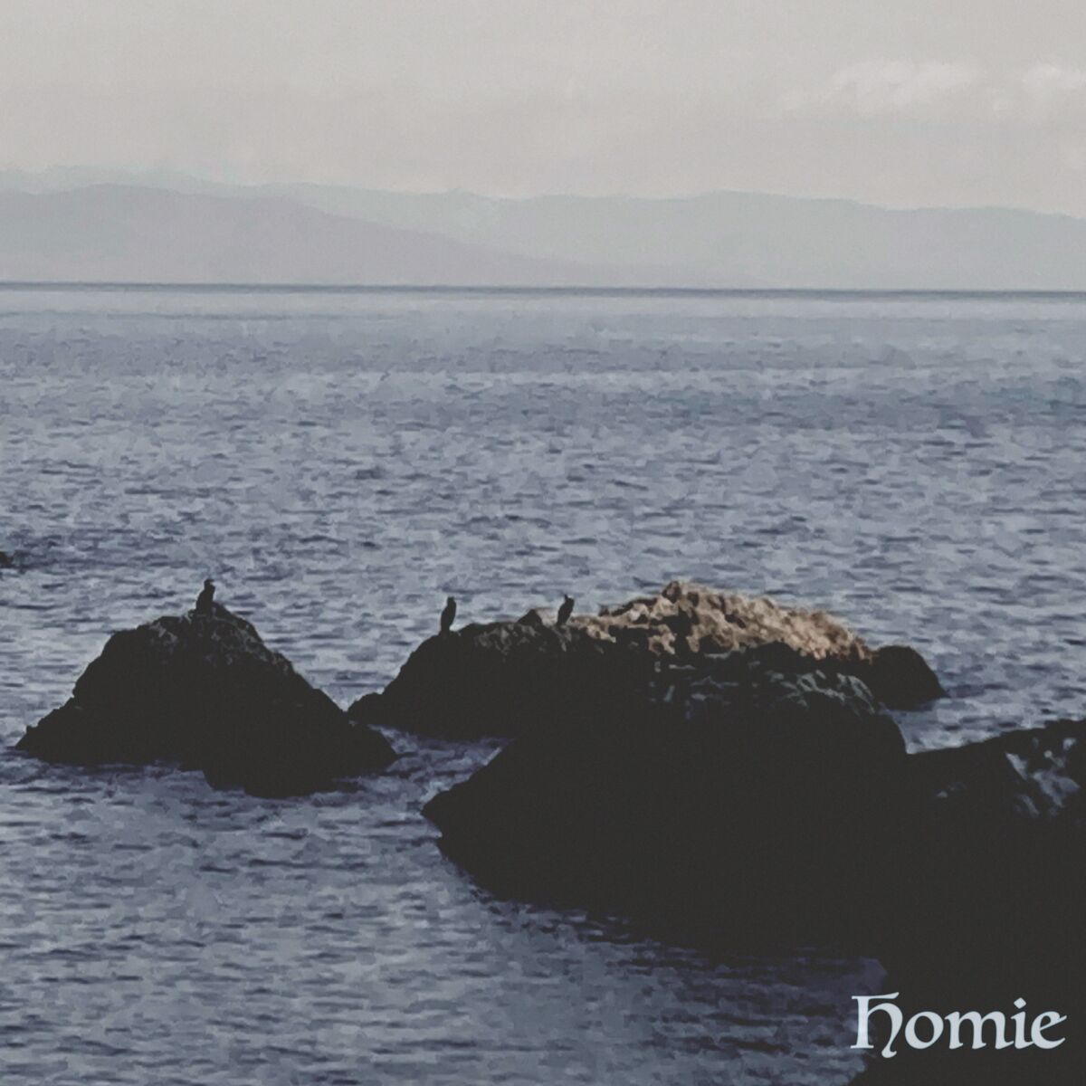 Album cover of Homie