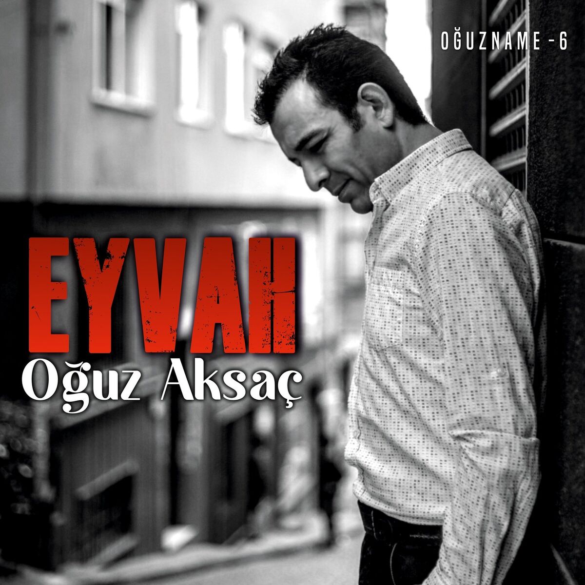 Album cover of Eyvah / Oğuzname 6