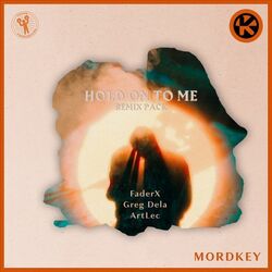 Hold on to Me (Remix Pack)