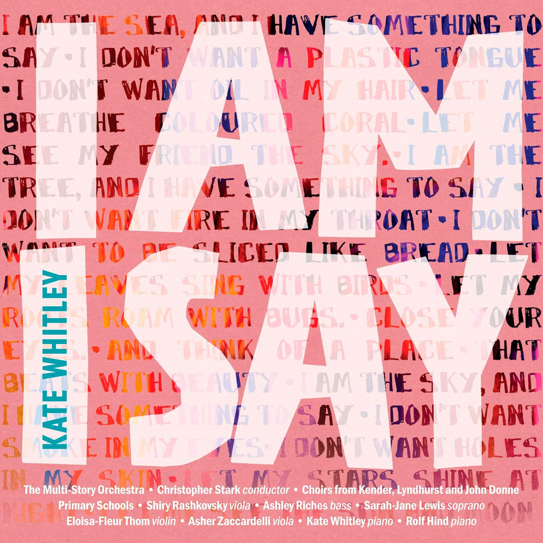 Album cover of I Am I Say