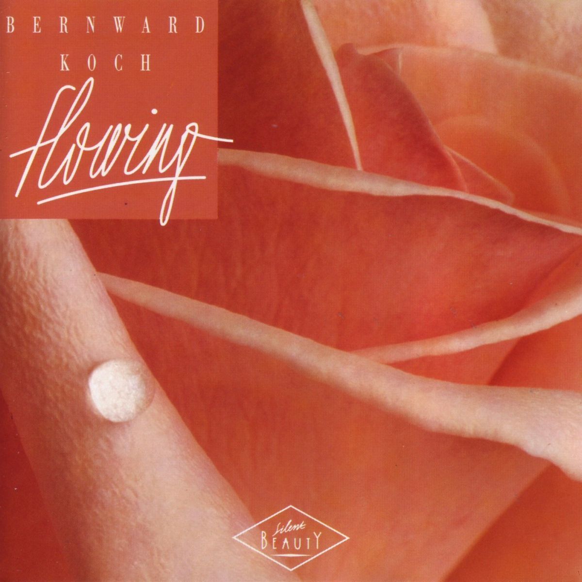 Album cover of Flowing