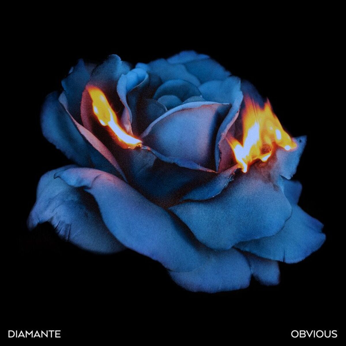 Album cover of Obvious