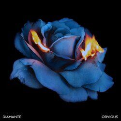 Cover of Obvious